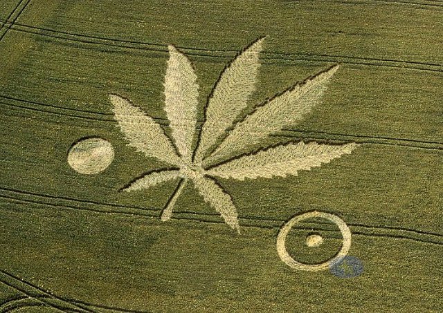 Crop Circles2