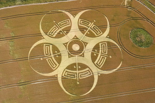 crop circle 25 de julio ovni venezuela 2