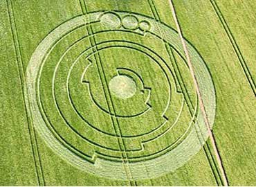 crop circle circulos en el pasto370x270