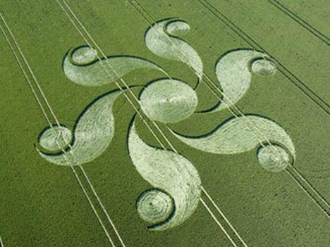 crop circle 1