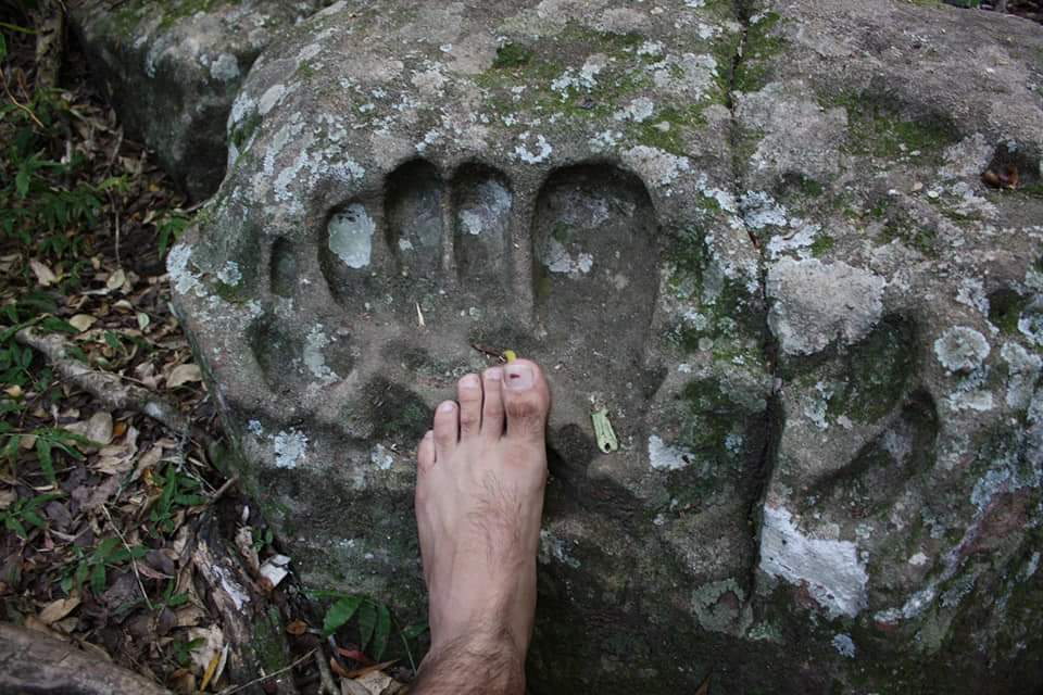 confronto piede gigante umano